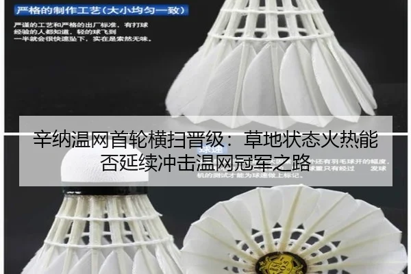 xin-na-wen-wang-shou-lun-heng-sao-jin-ji-cao-di-zhuang-tai-huo-re-neng-fou-yan-xu-chong-ji-wen-wang-guan-jun-zhi-lu-3-142.jpg